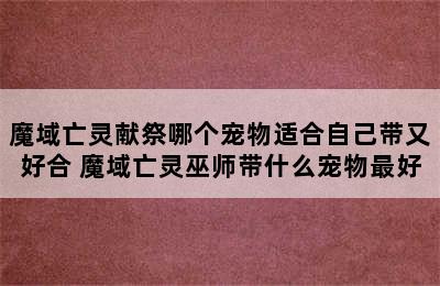 魔域亡灵献祭哪个宠物适合自己带又好合 魔域亡灵巫师带什么宠物最好